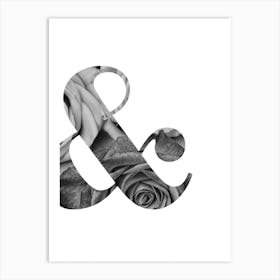 Ampersand Roses Art Print