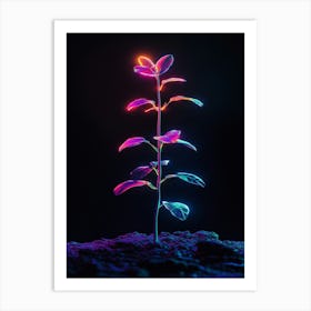 Neon Plant In The Dark 6 Art Print