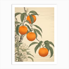 Tachibana Mandarin Orange 22 Vintage Japanese Botanical Art Print