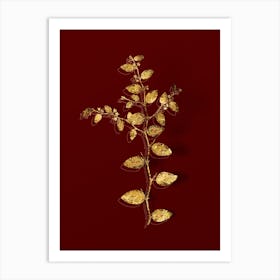 Vintage Christ's Thorn Botanical in Gold on Red n.0610 Art Print