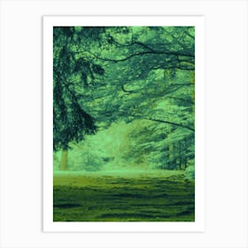 Green Forest in summer Affiche