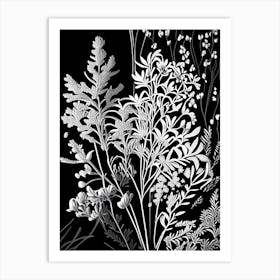 Wall Rue Wildflower Linocut 2 Art Print