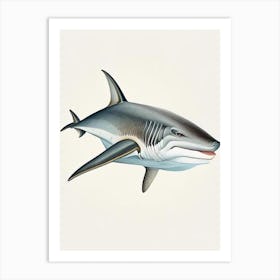 Galapagos Shark Vintage Art Print