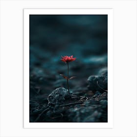 Single Red Flower 21 Art Print