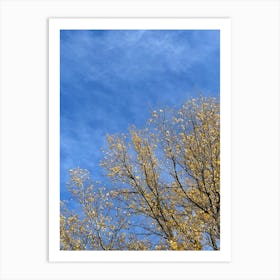 Autumn Trees Against A Blue Sky Art Print