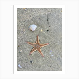 Starfish On The Beach 1 Art Print