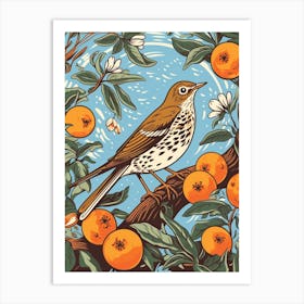 Vintage Bird Linocut Hermit Thrush 3 Art Print