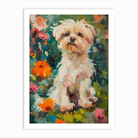 Maltese Acrylic Painting 1 Art Print