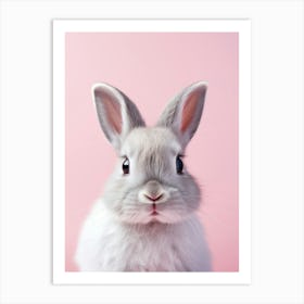 Rabbit On Pink Background 1 Art Print