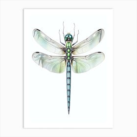 Common Green Darner Anax Junius 3 Art Print