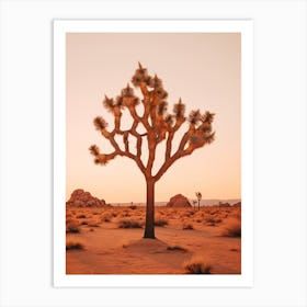  Photograph Of A Joshua Tree At Dawn In Desert 2 Art Print