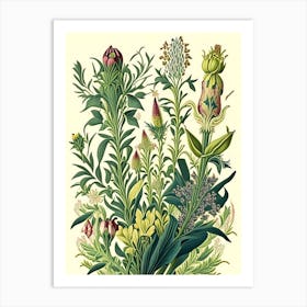 Lysimachia Floral 1 Botanical Vintage Poster Flower Art Print