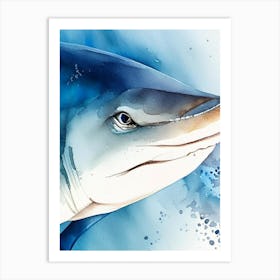 Shark Fin Watercolour Art Print
