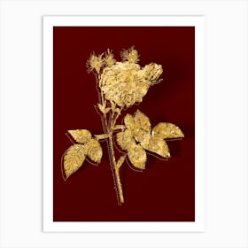 Vintage Pink Agatha Rose Botanical in Gold on Red n.0275 Art Print