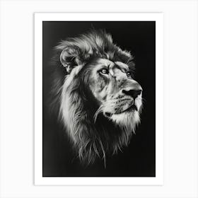 Barbary Lion Charcoal Drawing Symbolic Imagery 2 Art Print