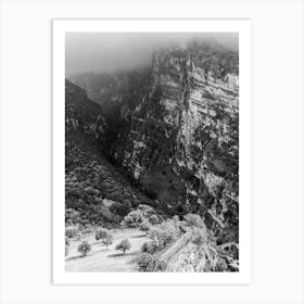 Black And White Nature In Calabria Art Print