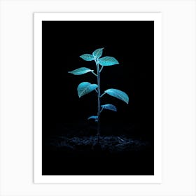 Plant Growing In The Dark 15 Art Print