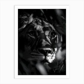 Portrait Of A Lion Art Print