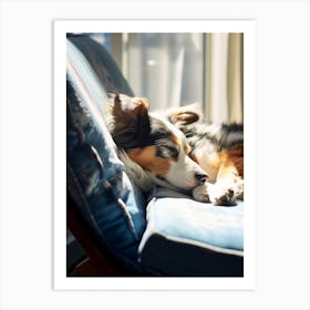 Dog Sleeping On A Chair Art Print