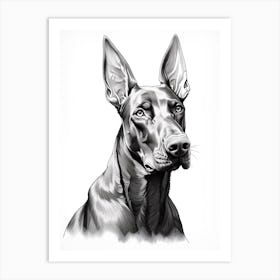 Doberman Pinscher Dog, Line Drawing 4 Art Print