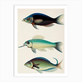 Squid Vintage Poster Art Print