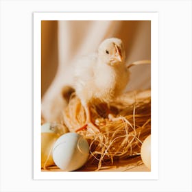 Easter Chick 5 Art Print