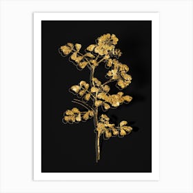 Vintage Scorpion Vetch Plant Botanical in Gold on Black n.0586 Art Print