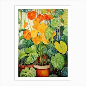 Tropical Plant Painting Chinese Money Plant Art Print