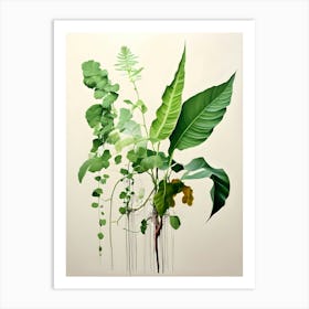 Plants In A Vase 1 Art Print