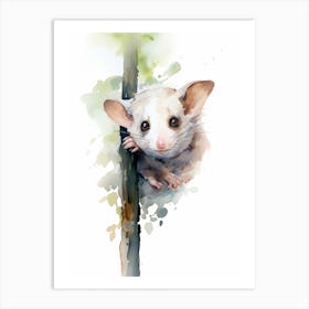 Light Watercolor Painting Of A Hanging Possum 1 Art Print