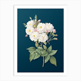 Vintage Noisette Roses Botanical Art on Teal Blue n.0363 Art Print