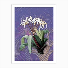 Vintage Crinum Erubescens Botanical Illustration on Veri Peri n.0458 Art Print