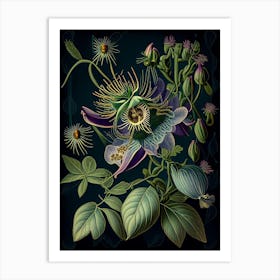 Passion Flower 2 Floral Botanical Vintage Poster Flower Art Print