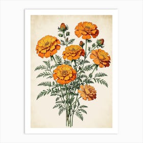 Orange Carnations Art Print