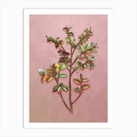Vintage Bilberry Botanical Art on Crystal Rose n.0716 Art Print