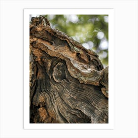 Rustic Harmony
A close-up shot of richly textured tree bark, showcasing organic lines and natural beauty. Ideal for living rooms or creative spaces, adding warmth and rustic charm. Art Print