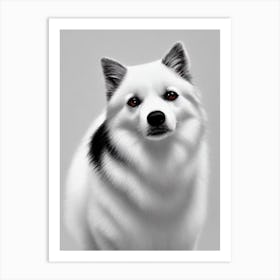 American Eskimo Dog B&W Pencil Dog Art Print