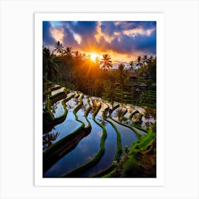 Rice Terraces At Sunset In Bali Art Print