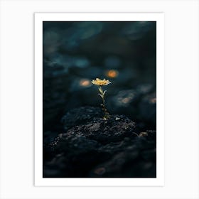 Flower On A Rock 2 Art Print