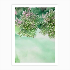 Acropora Pulchra Iiii Storybook Watercolour Art Print