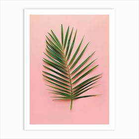 Palm Leaf On Pink Background 7 Art Print