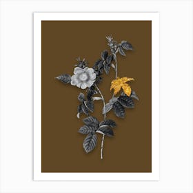 Vintage Dog Rose Black and White Gold Leaf Floral Art on Coffee Brown n.0183 Art Print