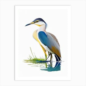 Javan Pond Heron Impressionistic 2 Art Print