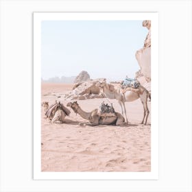 Camel Travel Art Print