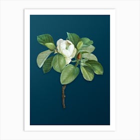 Vintage Magnolia Elegans Botanical Art on Teal Blue Art Print