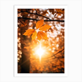 Autumn Leaves In The Sunlight 2 Art Print