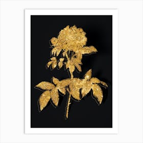 Vintage Provins Rose Botanical in Gold on Black n.0035 Art Print