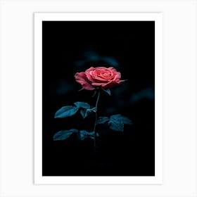 Dark Rose 149 Art Print