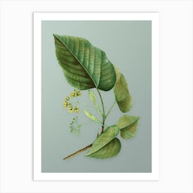 Vintage Linden Tree Branch Botanical Art on Mint Green n.0159 Art Print