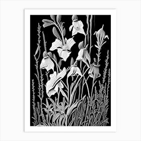 Marsh Bellflower Wildflower Linocut 1 Art Print